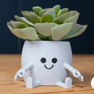 Cute Sitting Pot for Indoor Plants